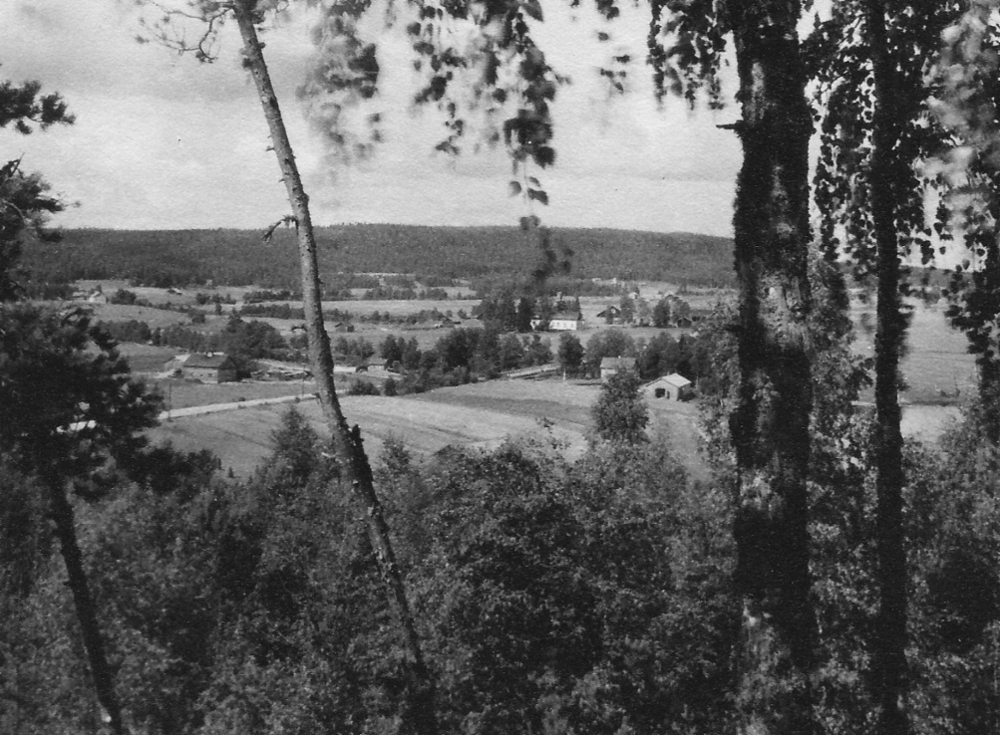 Näkymä 50-luvulla Kartano Kievaria ympäröivistä maalaismaisemista Tervavuorelta kuvattuna.